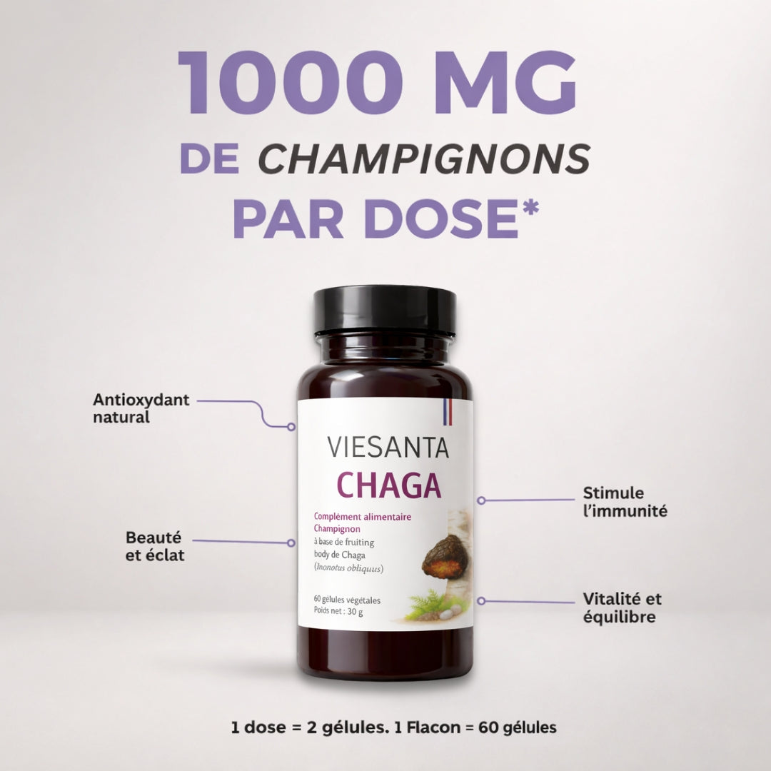 Gélules Chaga