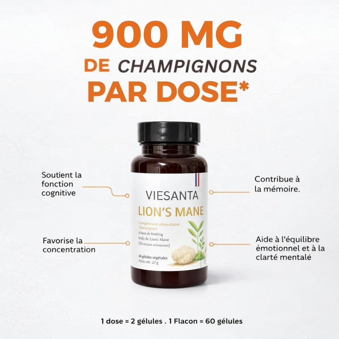 Gélules Lion's Mane
